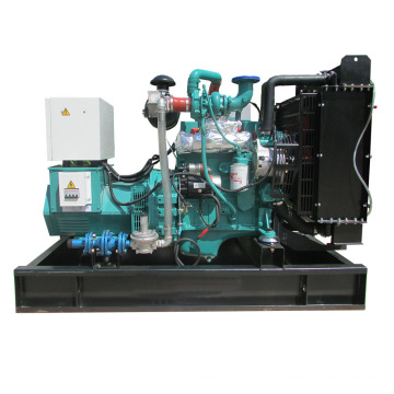 Méthane Prime Prime Power 24 heures de haute qualité refroidie à eau 20 kW 30 kW Génération de puissance de biogaz 100kw 100kw